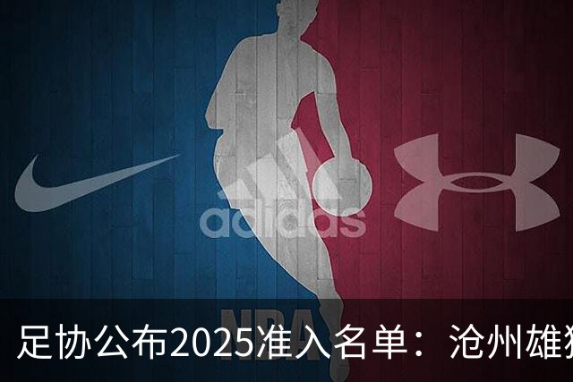 足协公布2025准入名单：沧州雄狮、广州队无缘